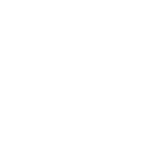 WSHVH 45 jaar logo
