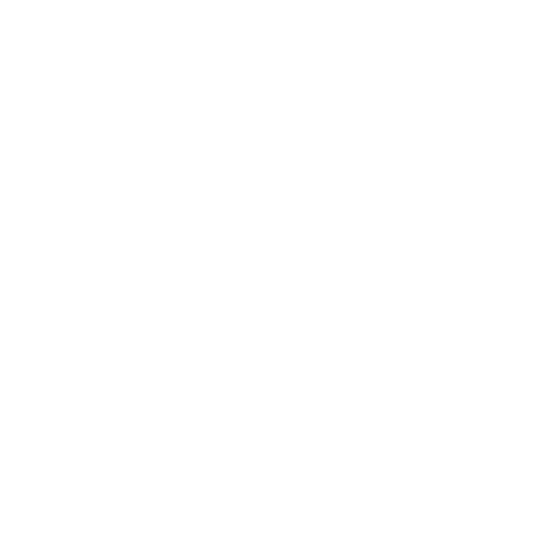 WSHVH 45 jaar logo