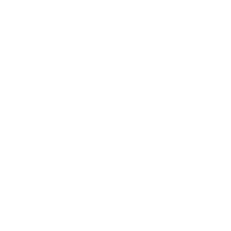 WSHVH X-Logo